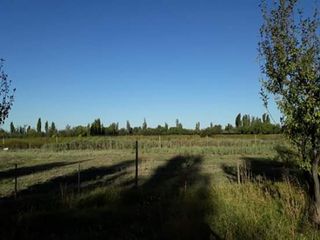 Foto 1 de Vendo hermosa Finca zona Rama Caida de  5 hectÃ¡reas,  en producciÃ³n uva bonarda y mezcla  con tela antigranizo. Vista MontaÃ±a