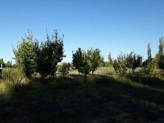 Foto 3 de Vendo hermosa Finca zona Rama Caida de  5 hectÃ¡reas,  en producciÃ³n uva bonarda y mezcla  con tela antigranizo. Vista MontaÃ±a