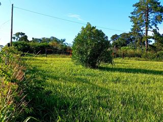 Foto 1 de Gran terreno en esquina nivelado, parquizado y cercado