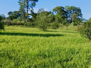 Foto 4 de Gran terreno en esquina nivelado, parquizado y cercado