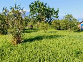 Foto 9 de Gran terreno en esquina nivelado, parquizado y cercado