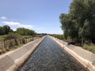 Foto 15 de FINCA DE 4,7 HECTAREAS CON CASAS