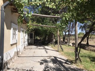 Foto 11 de FINCA DE 4,7 HECTAREAS CON CASAS