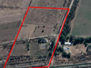 Foto 4 de FINCA DE 4,7 HECTAREAS CON CASAS