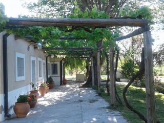 Foto 2 de FINCA DE 4,7 HECTAREAS CON CASAS