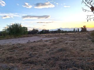 Foto 8 de Terreno 1200 m2 en  Perito Moreno Coquimbito