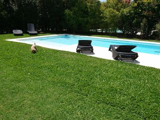 Foto 2 de segunda quincena de diciembre 2024