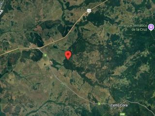 Foto 10 de Campo en venta - 2.400 Hectáreas - Misiones