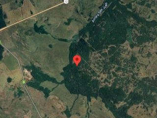 Foto 9 de Campo en venta - 2.400 Hectáreas - Misiones