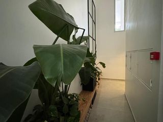 Foto 5 de Departamento en  alquiler