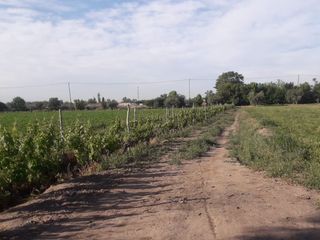 Foto 3 de VENTA-TERRENO PARA DESARROLLO-GUAYMALLEN