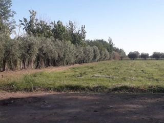 Foto 6 de VENTA-TERRENO PARA DESARROLLO-GUAYMALLEN