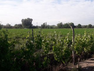 Foto 2 de VENTA-TERRENO PARA DESARROLLO-GUAYMALLEN