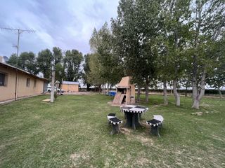 Foto 5 de Venta finca Barrancas, Mendoza, 60 hectareas