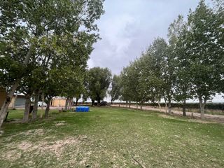Foto 3 de Venta finca Barrancas, Mendoza, 60 hectareas
