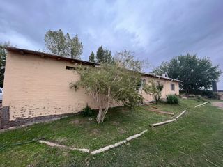 Foto 8 de Venta finca Barrancas, Mendoza, 60 hectareas