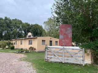 Foto 2 de Venta finca Barrancas, Mendoza, 60 hectareas