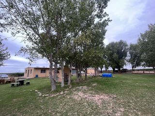 Foto 4 de Venta finca Barrancas, Mendoza, 60 hectareas