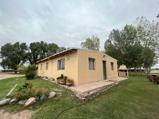 Foto 7 de Venta finca Barrancas, Mendoza, 60 hectareas