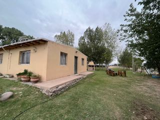 Foto 6 de Venta finca Barrancas, Mendoza, 60 hectareas