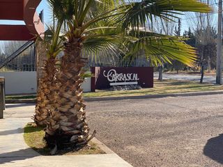 Foto 4 de VENTA DE LOTE EN BARRIO PRIVADO CARRASCAL DE MAIPÚ