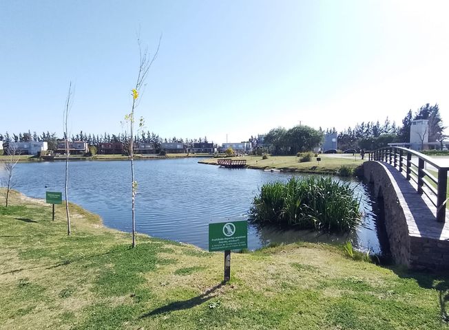 place photo 37