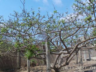 Foto 10 de Casa Unifamiliar en Lotización Monterrocke, Montecristi