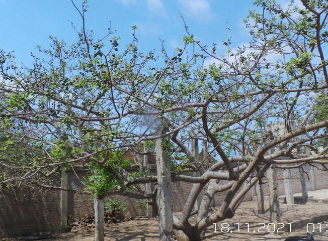 place photo 10