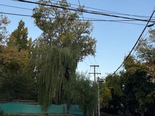 Foto 9 de Casa en  Alquiler - Uso Comercial en Luján de Cuyo