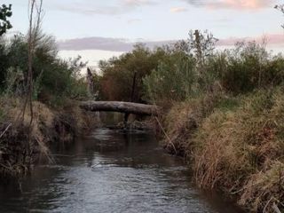 Foto 6 de Finca en venta - 2 Dormitorios 1 Baño - 45.000mts2 - Mendoza