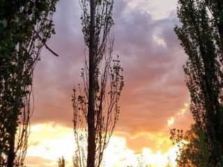 Foto 7 de Finca en venta - 2 Dormitorios 1 Baño - 45.000mts2 - Mendoza