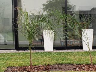 Foto 3 de Casa - Ceibos