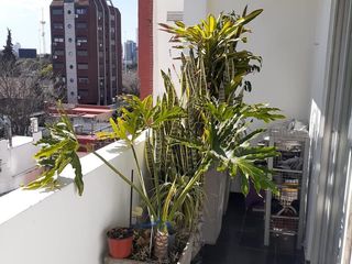 Foto 1 de Núñez departamento dúplex 3Amb Reciclado a mts Cabildo/Estac