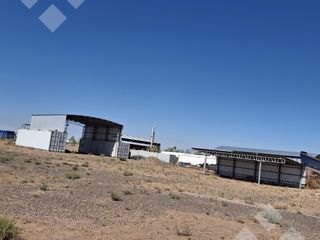 Foto 4 de Se Alquila, Lote de 5.000 m2  con tinglado, Lote 4, Añelo