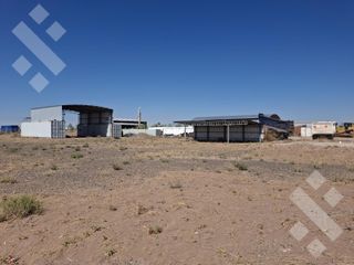Foto 5 de Se Alquila, Lote de 5.000 m2  con tinglado, Lote 4, Añelo