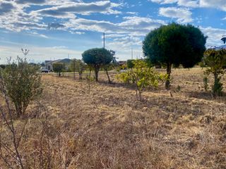 Foto 23 de Terreno de 800 m2 de venta en Tabacundo (Urb. Hacienda La Pradera)