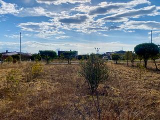 Foto 21 de Terreno de 800 m2 de venta en Tabacundo (Urb. Hacienda La Pradera)