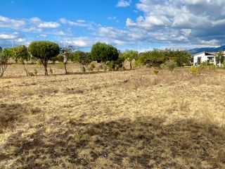 Foto 20 de Terreno de 800 m2 de venta en Tabacundo (Urb. Hacienda La Pradera)