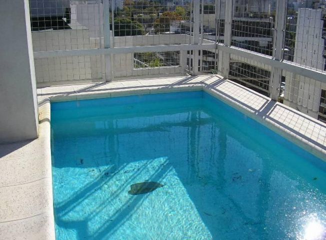 place photo 15