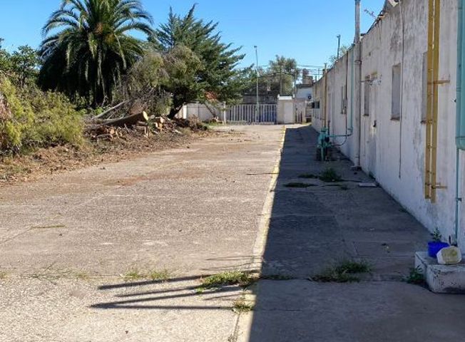 place photo 29