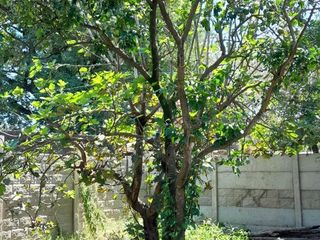 Foto 4 de VENTA Terreno en Sauce Viejo de 395m2