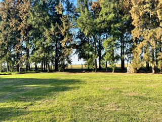 Foto 6 de LOTE EN VENTA HARAS DEL SUR I