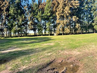 Foto 12 de LOTE EN VENTA HARAS DEL SUR I