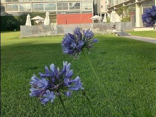 Foto 10 de Departamento en  Alquiler