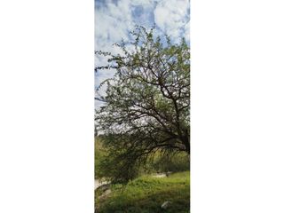 Foto 6 de LOTE EN VENTA CON FINANCIACION FRENTE AL RIO SAN ANTONIO