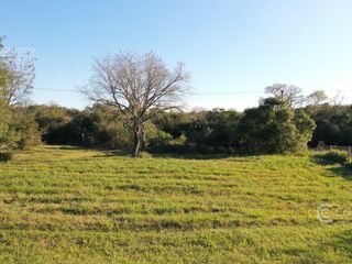 Foto 5 de Se Vende Terreno en Candelaria, Misiones
