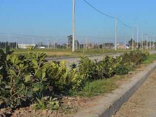 Foto 11 de Venta Terreno de 1050m2 en EcoPueblo, Alvear