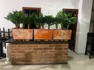 Foto 14 de La Colón, Local Comercial en Renta, 100m2, 2 Ambientes