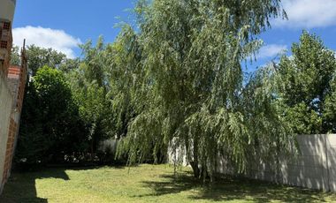 similar_image