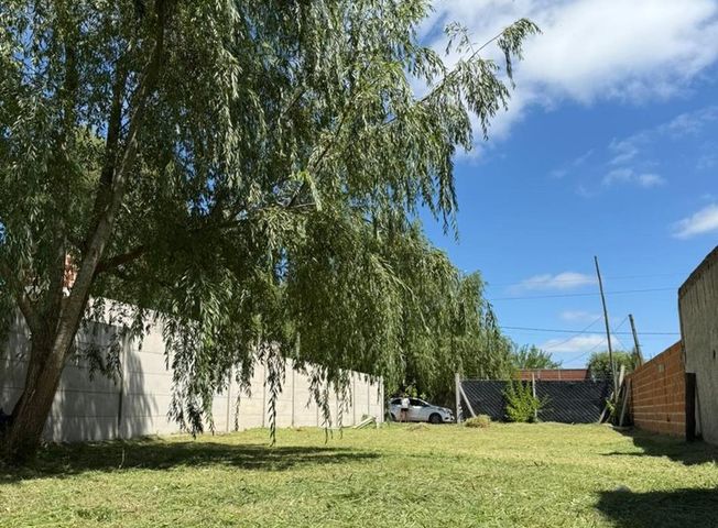 place photo 6